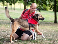 Adoptuj Warszawiaka  Wydarzenie promujące adopcję zwierząt. Organizator: Schronisko dla Bezdomnych Zwierząt "Na Paluchu". 18 sierpnia 2019, Park Raszyński w Raszynie. : park raszyński, adoptuj warszawiaka, na paluchu, schronisko dla zwierząt, centrum warszawy, raszyn